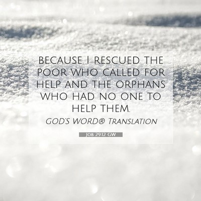 Picture 07 - Job 29:12 GW - because I rescued the poor who called for help - Bible Verse Picture