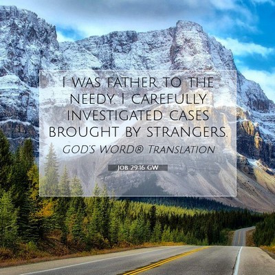 Picture 07 - Job 29:16 GW - I was father to the needy. I carefully - Bible Verse Picture
