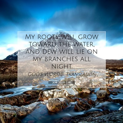 Picture 07 - Job 29:19 GW - My roots will grow toward the water, and dew will - Bible Verse Picture