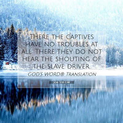 Picture 07 - Job 3:18 GW - There the captives have no troubles at all. There - Bible Verse Picture