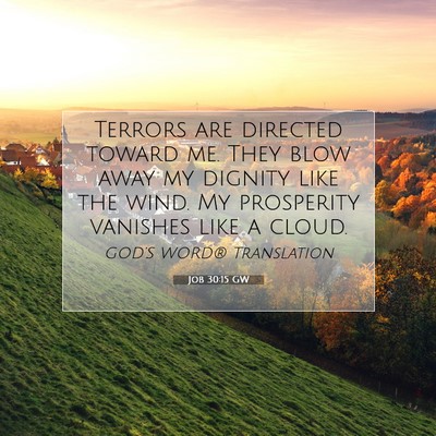 Picture 07 - Job 30:15 GW - Terrors are directed toward me. They blow away my - Bible Verse Picture