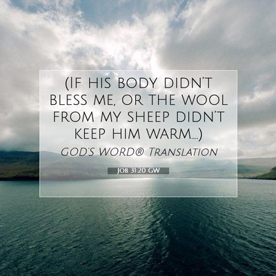 Picture 07 - Job 31:20 GW - (If his body didn’t bless me, or the wool from - Bible Verse Picture