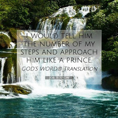 Picture 07 - Job 31:37 GW - I would tell him the number of my steps and - Bible Verse Picture