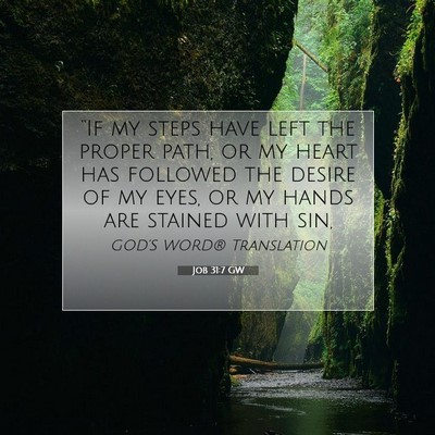 Picture 07 - Job 31:7 GW - “If my steps have left the proper path, or my - Bible Verse Picture