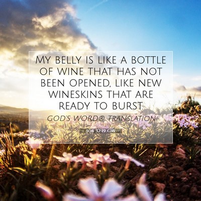 Picture 07 - Job 32:19 GW - My belly is like a bottle of wine that has not - Bible Verse Picture
