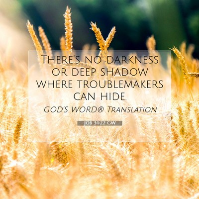 Picture 07 - Job 34:22 GW - There’s no darkness or deep shadow where - Bible Verse Picture