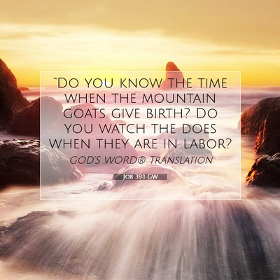 Picture 07 - Job 39:1 GW - “Do you know the time when the mountain goats - Bible Verse Picture