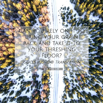 Picture 07 - Job 39:12 GW - Can you rely on it to bring your grain back and - Bible Verse Picture