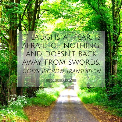 Picture 07 - Job 39:22 GW - It laughs at fear, is afraid of nothing, and - Bible Verse Picture