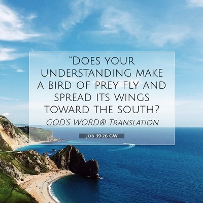 Picture 07 - Job 39:26 GW - “Does your understanding make a bird of prey - Bible Verse Picture