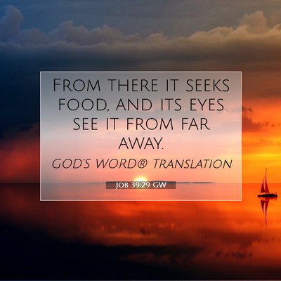 Picture 07 - Job 39:29 GW - From there it seeks food, and its eyes see it - Bible Verse Picture