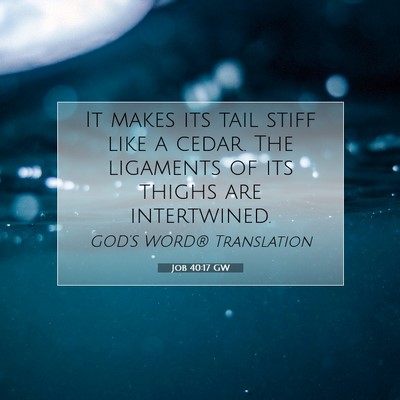 Picture 07 - Job 40:17 GW - It makes its tail stiff like a cedar. The - Bible Verse Picture