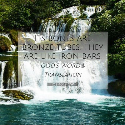 Picture 07 - Job 40:18 GW - Its bones are bronze tubes. They are like iron - Bible Verse Picture