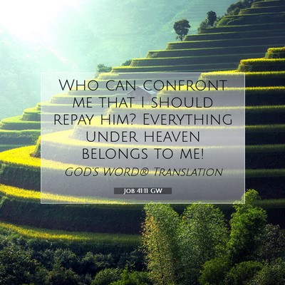 Picture 07 - Job 41:11 GW - Who can confront me that I should repay him? - Bible Verse Picture