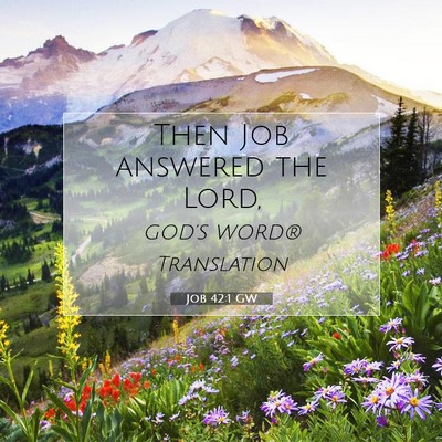 Picture 07 - Job 42:1 GW - Then Job answered the - Bible Verse Picture