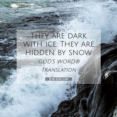 Picture 07 - Job 6:16 GW - They are dark with ice. They are hidden by - Bible Verse Picture