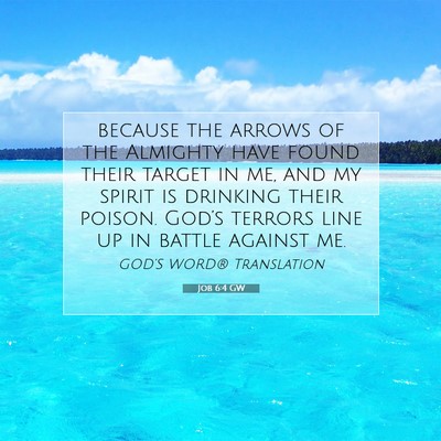 Picture 07 - Job 6:4 GW - because the arrows of the Almighty have found - Bible Verse Picture