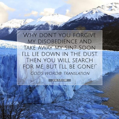 Picture 07 - Job 7:21 GW - Why don’t you forgive my disobedience and take - Bible Verse Picture