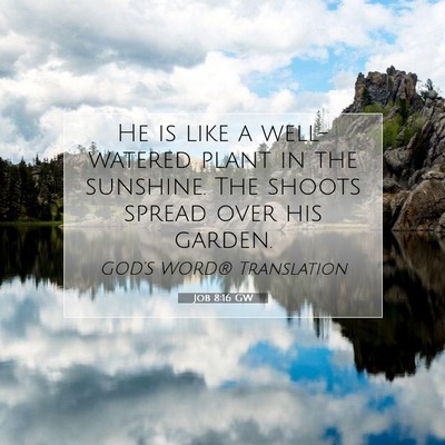 Picture 07 - Job 8:16 GW - He is like a well-watered plant in the sunshine. - Bible Verse Picture