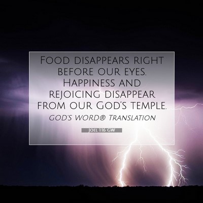 Picture 07 - Joel 1:16 GW - Food disappears right before our eyes. Happiness - Bible Verse Picture