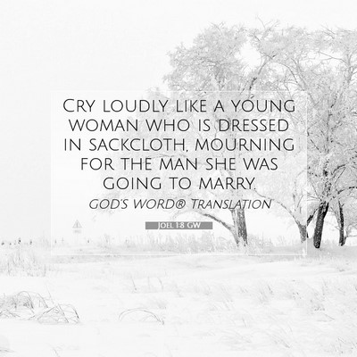 Picture 07 - Joel 1:8 GW - Cry loudly like a young woman who is dressed in - Bible Verse Picture