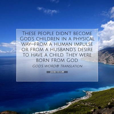 Picture 07 - John 1:13 GW - These people didn’t become God’s children in - Bible Verse Picture
