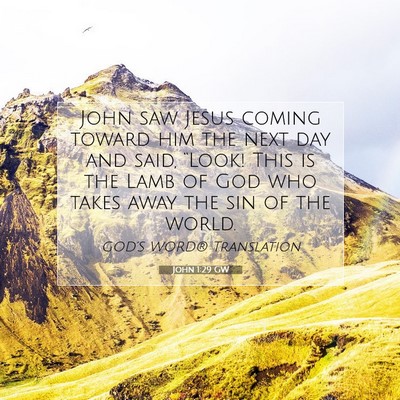Picture 07 - John 1:29 GW - John saw Jesus coming toward him the next day and - Bible Verse Picture