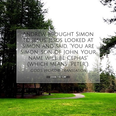 Picture 07 - John 1:42 GW - Andrew brought Simon to Jesus. Jesus looked at - Bible Verse Picture