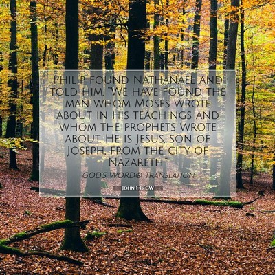 Picture 07 - John 1:45 GW - Philip found Nathanael and told him, “We have - Bible Verse Picture