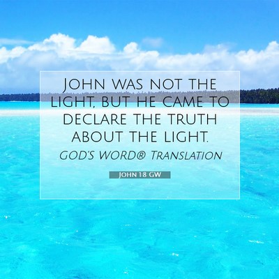 Picture 07 - John 1:8 GW - John was not the light, but he came to declare - Bible Verse Picture