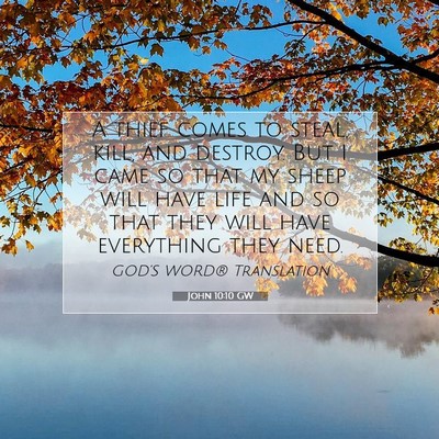 Picture 07 - John 10:10 GW - A thief comes to steal, kill, and destroy. But I - Bible Verse Picture