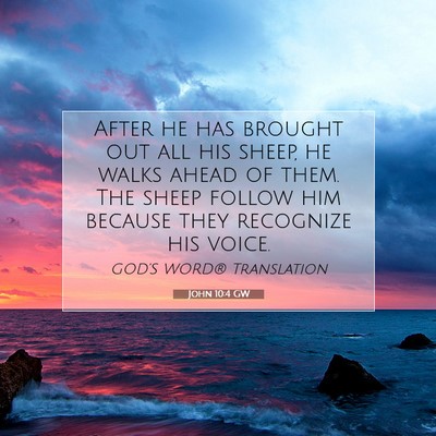 Picture 07 - John 10:4 GW - After he has brought out all his sheep, he walks - Bible Verse Picture