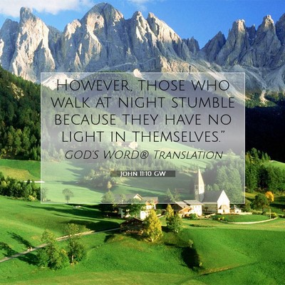 Picture 07 - John 11:10 GW - However, those who walk at night stumble because - Bible Verse Picture