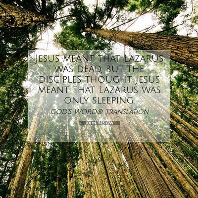 Picture 07 - John 11:13 GW - Jesus meant that Lazarus was dead, but the - Bible Verse Picture