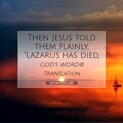 Picture 07 - John 11:14 GW - Then Jesus told them plainly, “Lazarus has - Bible Verse Picture