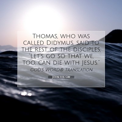 Picture 07 - John 11:16 GW - Thomas, who was called Didymus, said to the rest - Bible Verse Picture