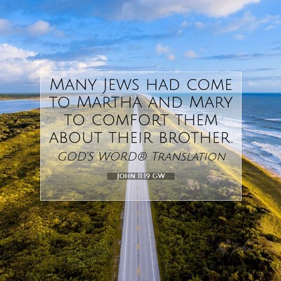 Picture 07 - John 11:19 GW - Many Jews had come to Martha and Mary to comfort - Bible Verse Picture