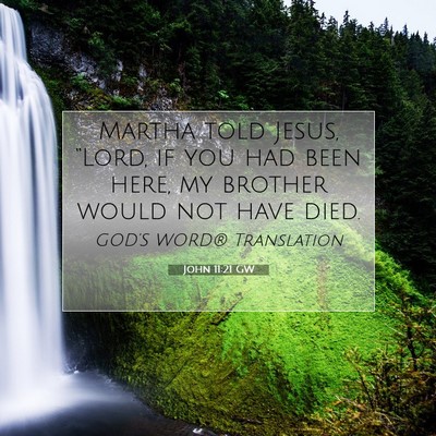 Picture 07 - John 11:21 GW - Martha told Jesus, “Lord, if you had been here, - Bible Verse Picture
