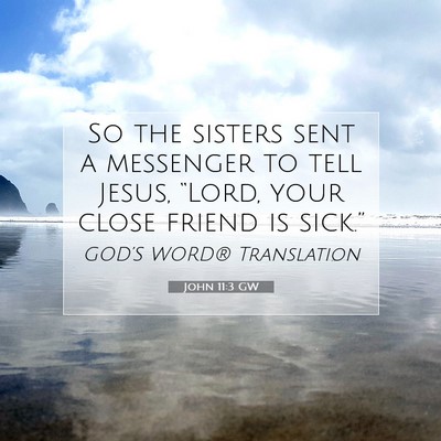 Picture 07 - John 11:3 GW - So the sisters sent a messenger to tell Jesus, - Bible Verse Picture