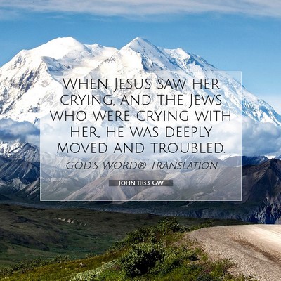 Picture 07 - John 11:33 GW - When Jesus saw her crying, and the Jews who were - Bible Verse Picture