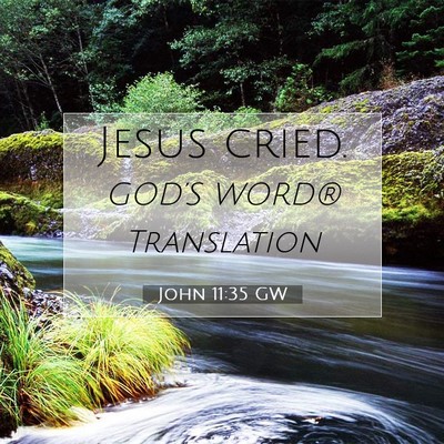 Picture 07 - John 11:35 GW - Jesus - Bible Verse Picture