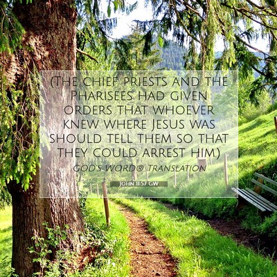 Picture 07 - John 11:57 GW - (The chief priests and the Pharisees had given - Bible Verse Picture