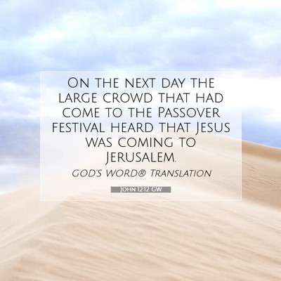 Picture 07 - John 12:12 GW - On the next day the large crowd that had come to - Bible Verse Picture