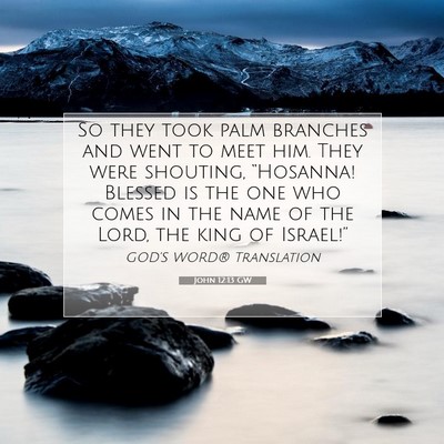 Picture 07 - John 12:13 GW - So they took palm branches and went to meet him. - Bible Verse Picture