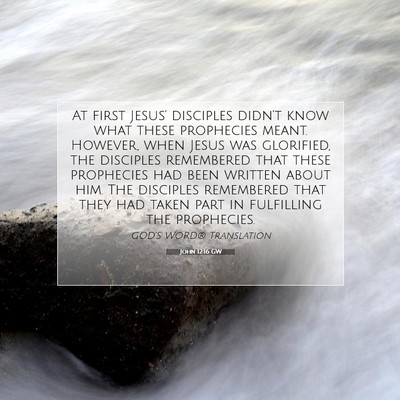 Picture 07 - John 12:16 GW - At first Jesus’ disciples didn’t know what - Bible Verse Picture