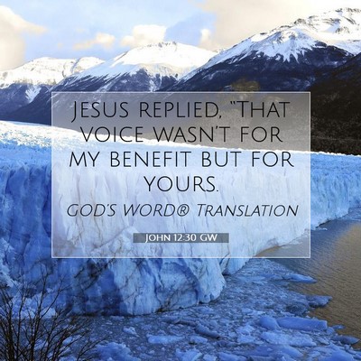 Picture 07 - John 12:30 GW - Jesus replied, “That voice wasn’t for my - Bible Verse Picture