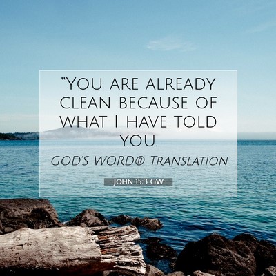 Picture 07 - John 15:3 GW - “You are already clean because of what I have - Bible Verse Picture