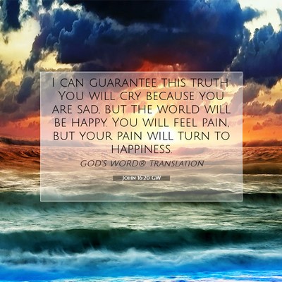 Picture 07 - John 16:20 GW - I can guarantee this truth: You will cry because - Bible Verse Picture