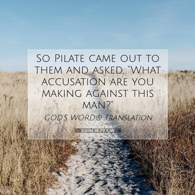 Picture 07 - John 18:29 GW - So Pilate came out to them and asked, “What - Bible Verse Picture