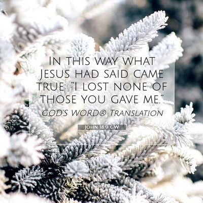 Picture 07 - John 18:9 GW - In this way what Jesus had said came true: “I - Bible Verse Picture